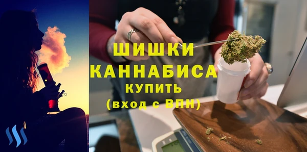 твердый Бронницы