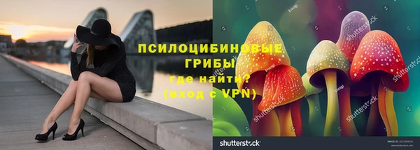 твердый Бронницы