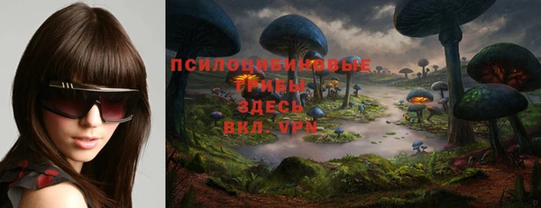 гидропоника Верхний Тагил